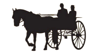 logo-yellow2rszB-removebg-preview2